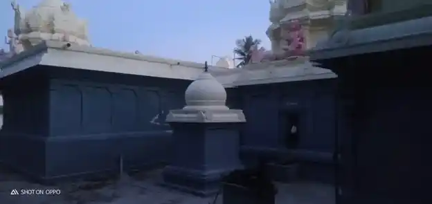 Arulmigu Thirukameswarar Temple, Panapakkam - 607108 அருள்மிகு திருக்காமேஸ்வரர் திருக்கோயில், பணப்பாக்கம் - 607108, Cuddalore - Ancient Temple Architecture and History Image 3