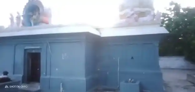 Arulmigu Thirukameswarar Temple, Panapakkam - 607108 அருள்மிகு திருக்காமேஸ்வரர் திருக்கோயில், பணப்பாக்கம் - 607108, Cuddalore - Ancient Temple Architecture and History Image 4