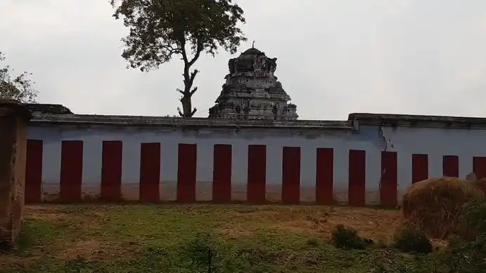 Arulmigu Thirukandeeswar Temple, Nanalkadu, Nanalkadu - 628252 அருள்மிகு திருகண்டீஸ்வரர் திருக்கோயில், Nanalkadu - 628252, Thoothukudi - Ancient Temple Architecture and History Image 3