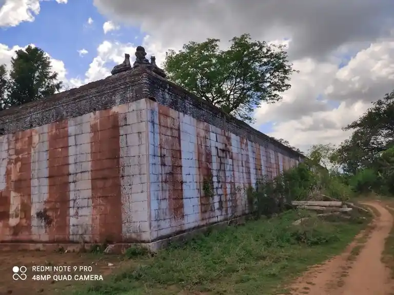 Arulmigu Thirukarutheeswarar Temple, Pappankulam - 627423 அருள்மிகு திருக்கருத்தீஸ்வரர் திருக்கோயில், Pappankulam - 627423, Tenkasi - Ancient Temple Architecture and History Image 2