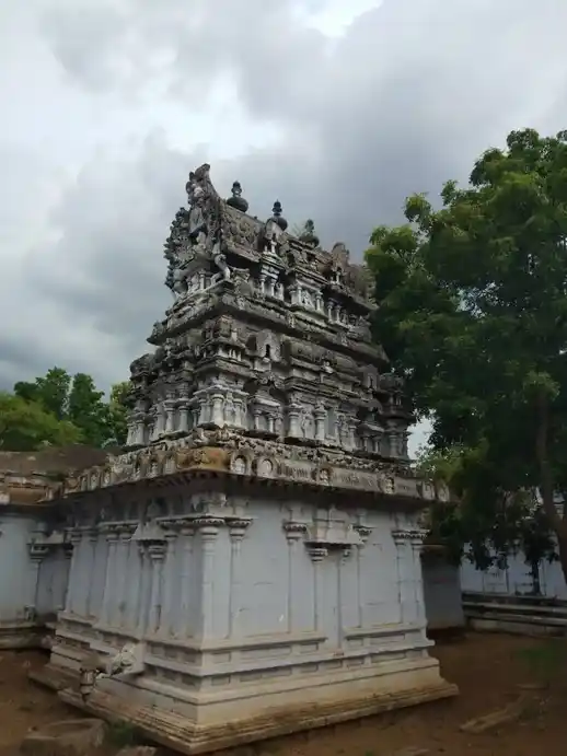 Arulmigu Thirukarutheeswarar Temple, Pappankulam - 627423 அருள்மிகு திருக்கருத்தீஸ்வரர் திருக்கோயில், Pappankulam - 627423, Tenkasi - Ancient Temple Architecture and History Image 5
