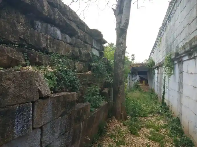 Arulmigu Thirukarutheeswarar Temple, Pappankulam - 627423 அருள்மிகு திருக்கருத்தீஸ்வரர் திருக்கோயில், Pappankulam - 627423, Tenkasi - Ancient Temple Architecture and History Image 7