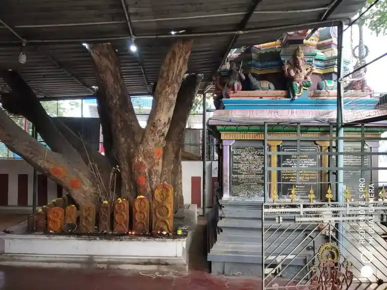 Arulmigu Thirukatchiyampathi Vinayagar Temple, Theradi, Kancheepuram - 631501 அருள்மிகு திருக்கச்சியம்பதி விநாயகர் திருக்கோயில், தேரடி, காஞ்சிபுரம் - 631501, Kancheepuram - Ancient Temple Architecture and History Image 3