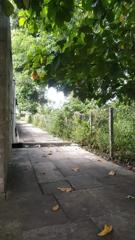 Arulmigu Thirukkalatheeswarar Temple, Uthamapalayam - 625533 அருள்மிகு திருக்காளத்தீஸ்வரர் திருக்கோயில், Uthamapalayam - 625533, Theni - Ancient Temple Architecture and History Image 9