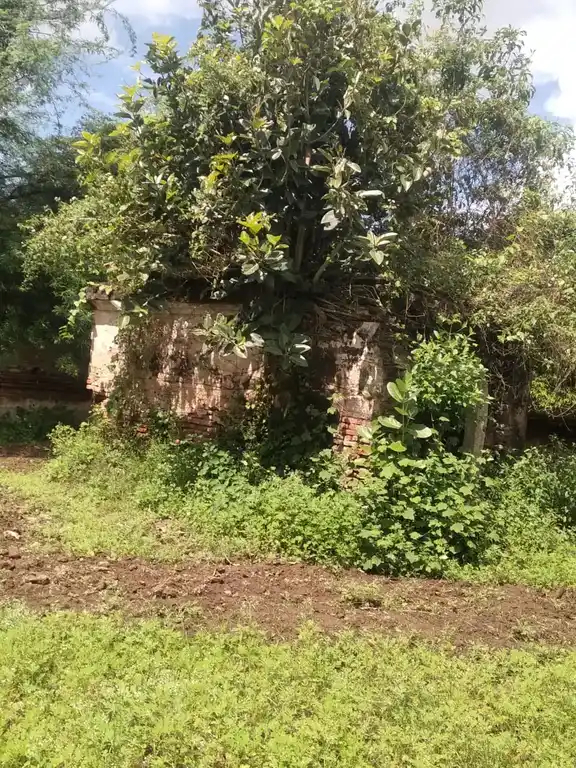 Arulmigu Thirukugeswarar Temple, Pallur - 631001 அருள்மிகு திருக்குகேஸ்வரர் திருக்கோயில், பள்ளூர் - 631001, Ranipet - Ancient Temple Architecture and History Image 7