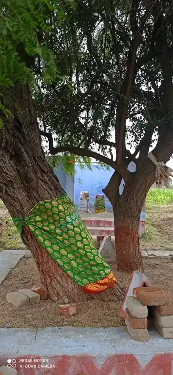 Arulmigu Thirumaaligai Periyasamy Temple, S. Kailasapuram, Savarimangalam - 628301 அருள்மிகு திருமாளிகை பெரியசாமி திருக்கோயில், எஸ்.கைலாச புரம், Savarimangalam - 628301, Thoothukudi - Ancient Temple Architecture and History Image 2