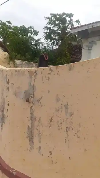 Arulmigu Thirumadam Dhanu Vinayagar Temple, Therur - 629704 அருள்மிகு திருமடம் தாணுவிநாயகர் திருக்கோயில், Therur - 629704, Kanyakumari - Ancient Temple Architecture and History Image 2