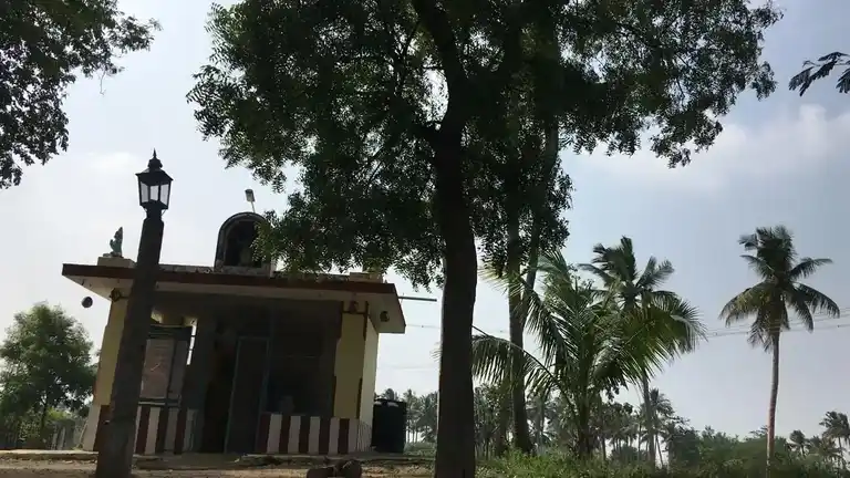 Arulmigu Thirumalai Perumal Temple, Alagupatti - 624709