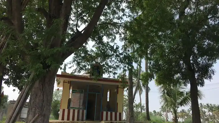 Arulmigu Thirumalai Perumal Temple, Alagupatti - 624709 அருள்மிகு திருமலைப்பெருமாள் திருக்கோயில், Alagupatti - 624709, Dindigul - Ancient Temple Architecture and History Image 3