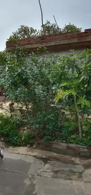 Arulmigu Thirumalaidevar Temple, Seekkanapalli - 635105 Temple