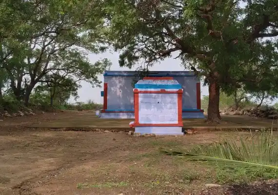 Arulmigu Thirumalairaya Perumal Temple, Metrathi - 642203 அருள்மிகு திருமலைராயப்பெருமாள் திருக்கோயில், Merathi - 642203, Tiruppur - Ancient Temple Architecture and History Image 4