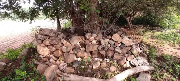 Arulmigu Thirumalaiswamy Varadharajaperumal Temple, Angitholvu - 644678 அருள்மிகுதிருமலை வரதராசபெருமாள் திருக்கோயில், Angitholvu - 644678, Tiruppur - Ancient Temple Architecture and History Image 3