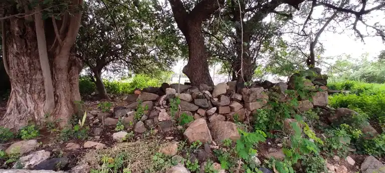 Arulmigu Thirumalaiswamy Varadharajaperumal Temple, Angitholvu - 644678 அருள்மிகுதிருமலை வரதராசபெருமாள் திருக்கோயில், Angitholvu - 644678, Tiruppur - Ancient Temple Architecture and History Image 4