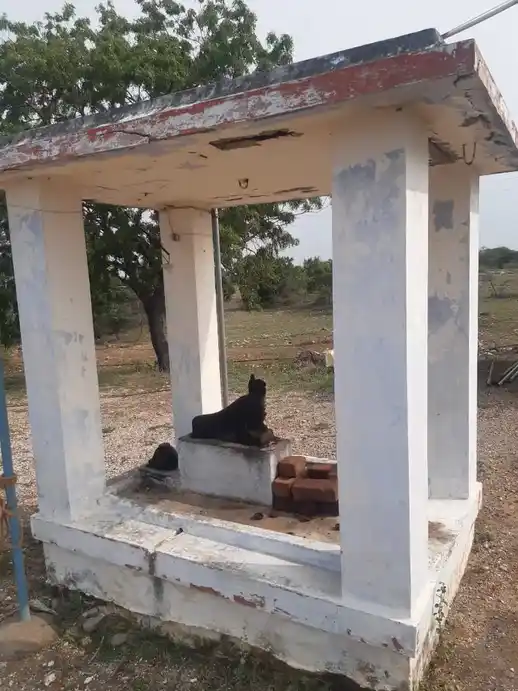 Arulmigu Thirumangari Kumrasamy Temple, Poosarivalasu - 638701 அருள்மிகு திருமங்கிரிகுமாரசாமி திருக்கோயில், பூசாரிவலசு - 638701, Tiruppur - Ancient Temple Architecture and History Image 2