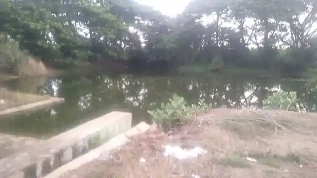 Arulmigu Thirumankulatheeswarar Temple, Ekirimankalam - 620003 Arulmigu Thirumankulatheeswarar Temple, Ekirimankalam - 620003, Thiruchirappalli - Ancient Temple Architecture and History Image 6