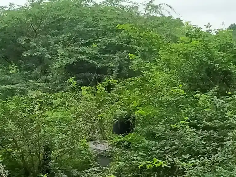 Arulmigu Thirumeni Azhagar Temple, Arasangudi - 620013 Arulmigu Thirumeni Azhagar Temple, Arasangudi - 620013, Thiruchirappalli - Ancient Temple Architecture and History Image 2