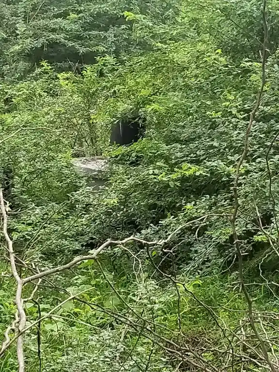 Arulmigu Thirumeni Azhagar Temple, Arasangudi - 620013 Arulmigu Thirumeni Azhagar Temple, Arasangudi - 620013, Thiruchirappalli - Ancient Temple Architecture and History Image 3