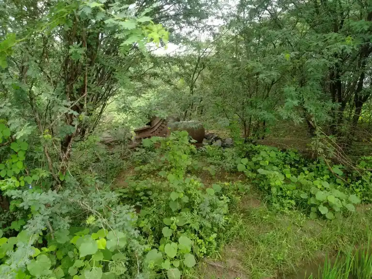 Arulmigu Thirumeni Azhagar Temple, Arasangudi - 620013 Arulmigu Thirumeni Azhagar Temple, Arasangudi - 620013, Thiruchirappalli - Ancient Temple Architecture and History Image 4