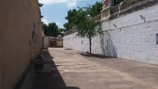 Arulmigu Thirumeninathaswamy Temple, Tiruchuli - 626129 அருள்மிகு திருமேனிநாதசுவாமி திருக்கோயில், திருச்சுழி - 626129, Virudhunagar - Ancient Temple Architecture and History Image 6