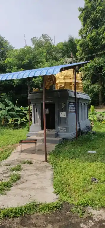 Arulmigu Thirumeniyazhagiyanathar Temple, Mappadugai - 609803 அருள்மிகு திருமேனி அழகியநாதசுவாமி திருக்கோயில், Mappadugai - 609803, Mayiladuthurai - Ancient Temple Architecture and History Image 5