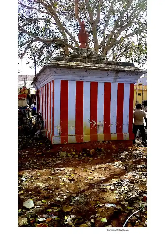 Arulmigu Thirumoola Vinayagar Temple, Edge Of The Road, Sernthamangalam - 627857 அருள்மிகு திருமூலவிநாயகர் திருக்கோயில், Edge Of The Road, Sernthamangalam - 627857, Tenkasi - Ancient Temple Architecture and History Image 5