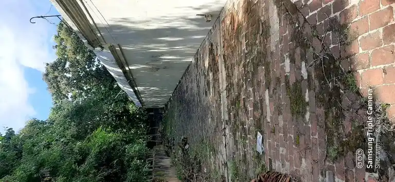 Arulmigu Thirumoolanatha Swamy Temple, Pandhanallur To Vaitheeswaran Koil Road, Thirumeniyarkoil - 609204