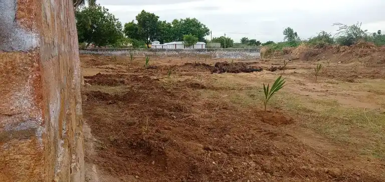 Arulmigu Thirumoolanathasamy Temple, Vallanadu North - 628252 அருள்மிகு திருமூலநாதசுவாமி திருக்கோயில், Vallanadu North - 628252, Thoothukudi - Ancient Temple Architecture and History Image 5