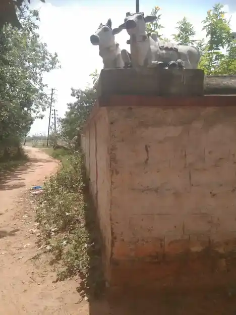 Arulmigu Thirumugileeswarar Temple, Uppuvellore - 606207 அருள்மிகு திருமுகிலீஸ்வர் திருக்கோயில், உப்புவேலூர் - 606207, Viluppuram - Ancient Temple Architecture and History Image 3