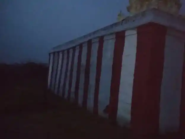 Arulmigu Thirunageshwarar Temple, Thalapathi Samuthiram - 627101 Temple