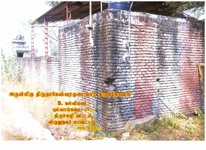 Arulmigu Thirunakesvaramudaiyar Temple, Kallumadai - 626607 அருள்மிகு திருநாகேஸ்வரமுடையார் திருக்கோயில், கல்விமடை, கல்விமடை - 626607, Virudhunagar - Ancient Temple Architecture and History Image 3
