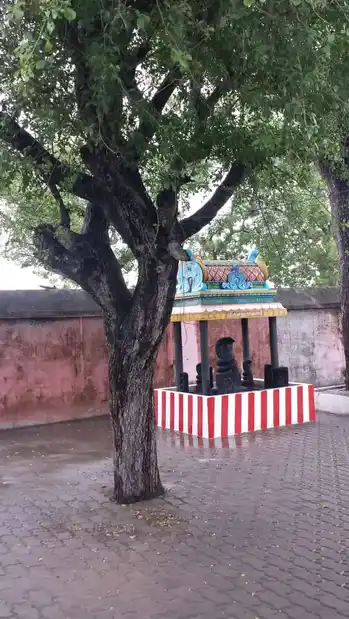 Arulmigu Thiruppanakarrudaiyar Temple, Thalikaividuthi - 614614 அருள்மிகு திருப்பணங்காருடையார் திருக்கோயில், Thalikaividuthi - 614614, Thanjavur - Ancient Temple Architecture and History Image 2
