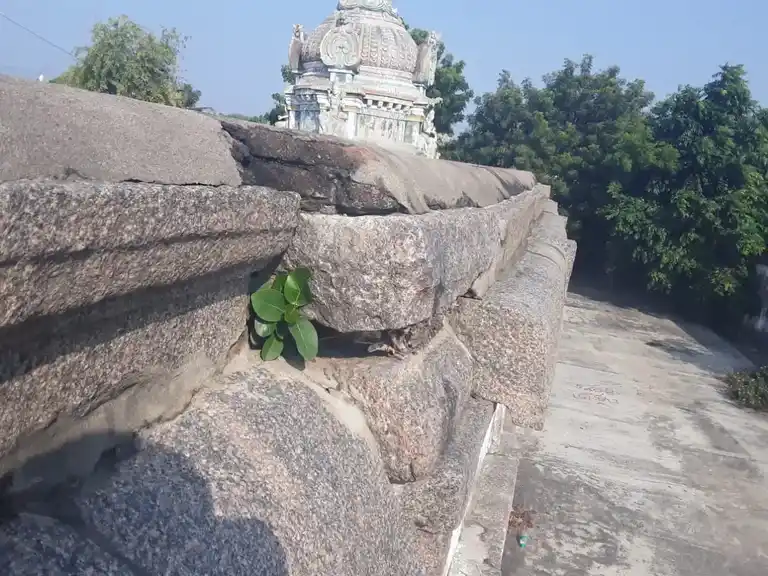 Arulmigu Thirupuvaneshwarar Temple, Nangaathur - 605202 அருள்மிகு திருபுவனேஸ்வரர் திருக்கோயில், Nangaathur - 605202, Viluppuram - Ancient Temple Architecture and History Image 7
