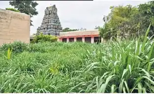 Arulmigu Thiruthalinatha Swamy Temple, Thiruppathur - 630211 அருள்மிகு திருத்தளிநாதசுவாமி திருக்கோயில், Thiruppathur - 630211, Sivagangai - Ancient Temple Architecture and History Image 2