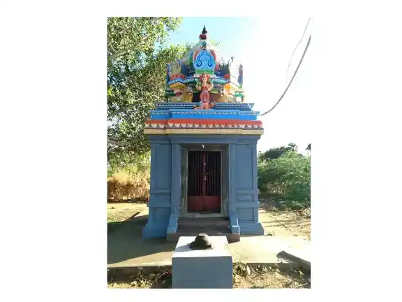 Arulmigu Thiruvakkudaiya Sastha Temple, Keelaputthaneri - 628601 அருள்மிகு திருவாக்குடைய சாஸ்தா திருக்கோயில், Keelaputthaneri - 628601, Thoothukudi - Ancient Temple Architecture and History Image 2