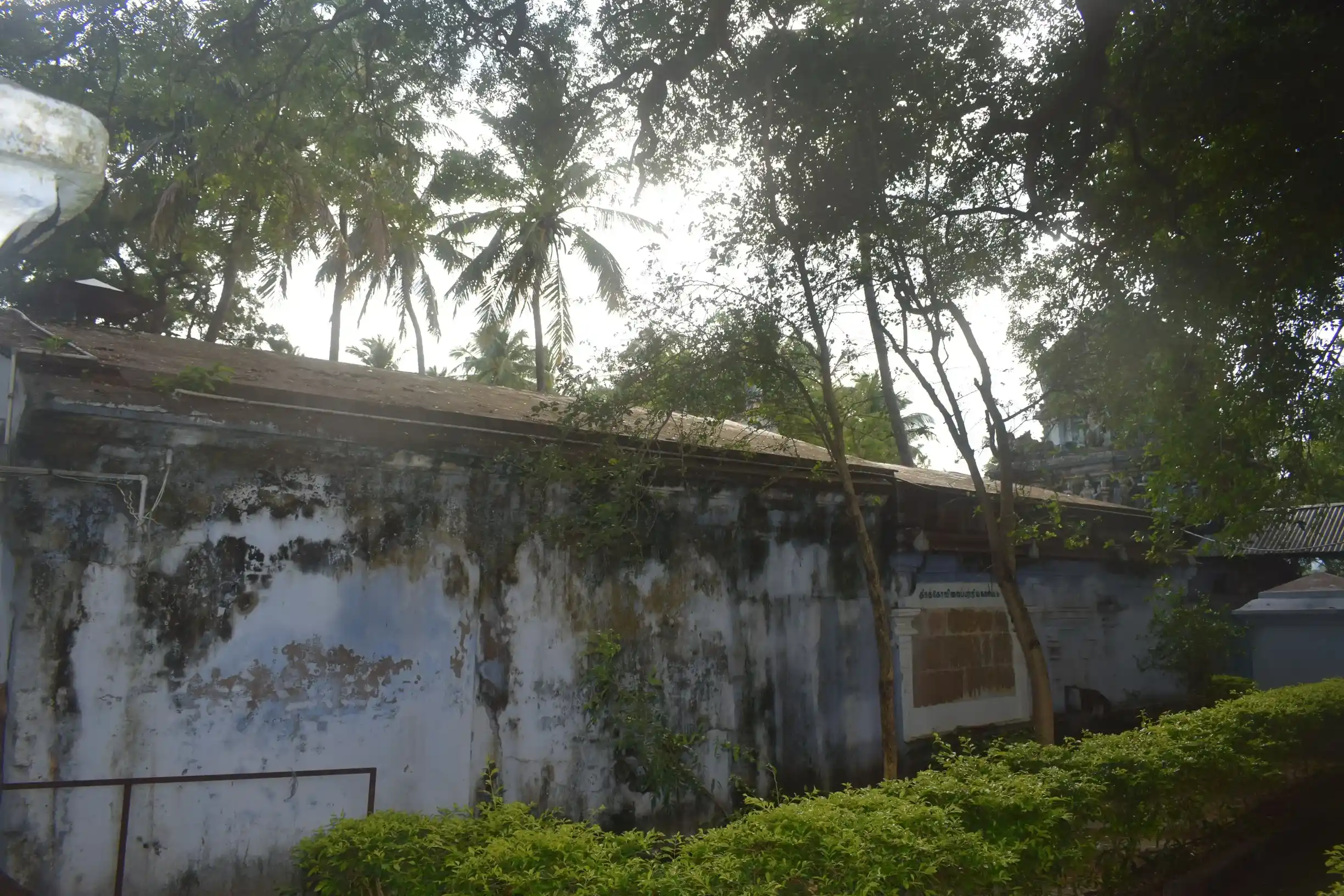 Arulmigu Thiruvaleesvara Temple, Keelapavoor - 627816 அருள்மிகு திருவாலீஸ்வரர் திருக்கோயில், கீழப்பாவூர் - 627816, Tenkasi - Ancient Temple Architecture and History Image 4