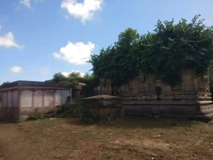 Arulmigu Thiruvaleeswarar and Neelamegaperumal Temple, Pattaraikkalani - 603102 அருள்மிகு திருவாலீஸ்வரர் மற்றும் நீல மாணிக்கபெருமாள் திருக்கோயில், பட்டரைக்காலனி - 603102, Chengalpattu - Ancient Temple Architecture and History Image 3