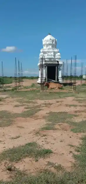 Arulmigu Thiruvaleeswarar Temple, Sathanoor - 623401 அருள்மிகு திருவாளீஸ்வரர் திருக்கோயில், Sathanoor - 623401, Ramanathapuram - Ancient Temple Architecture and History Image 4