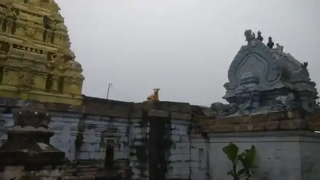 Arulmigu Thiruvaleshwarar Temple, Singadivakkam - 631561 அருள்மிகு திருவாலீஸ்வரர் திருக்கோயில், Singadivakkam - 631561, Kancheepuram - Ancient Temple Architecture and History Image 5