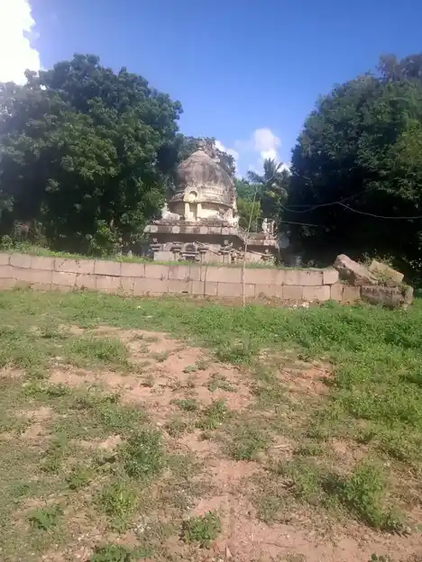 Arulmigu Thiruvaliswarar Temple, P.V. Kalathur- B - 603405 அருள்மிகு திருவாலீஸ்வரர் திருக்கோயில், பி.வி.களத்தூர்- பி - 603405, Chengalpattu - Ancient Temple Architecture and History Image 2