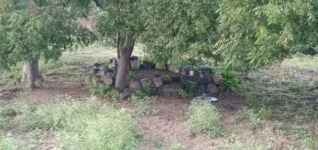 Arulmigu Thiruvambaliswarar Temple, East Rajapalayam - 636116 அருள்மிகு திருவம்பாலீஸ்வரர் திருக்கோயில், East Rajapalayam - 636116, Salem - Ancient Temple Architecture and History Image 4