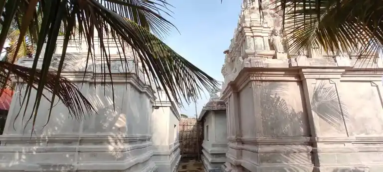 Arulmigu Thiruvankadaperumal Temple, Idayapatti - 638702 அருள்மிகு திருவேங்கடபெருமாள் திருக்கோயில், இடையப்பட்டி - 638702, Tiruppur - Ancient Temple Architecture and History Image 4