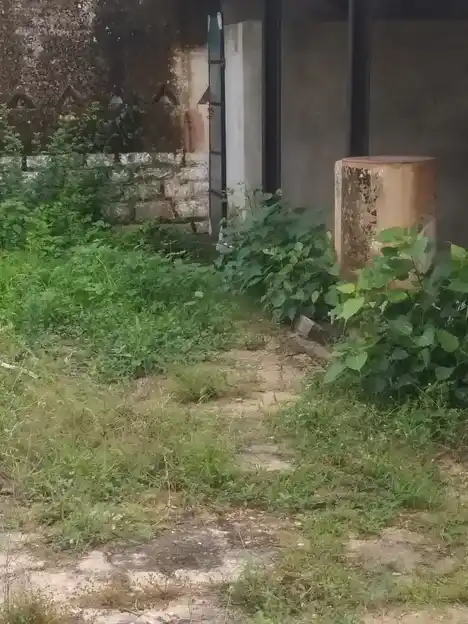 Arulmigu Thiruvantheeswarar Temple, Gudimallur - 632513 அருள்மிகு திருவந்தீஸ்வரர் திருக்கோயில், குடிமல்லூர் - 632513, Ranipet - Ancient Temple Architecture and History Image 5