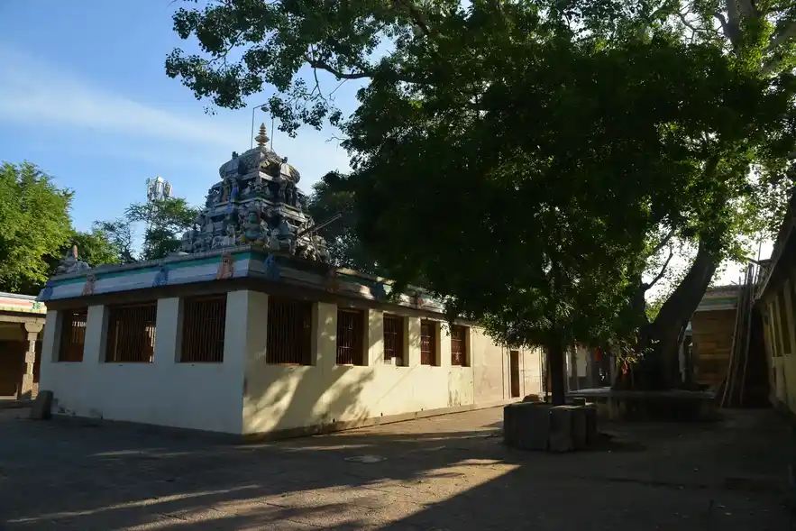 Arulmigu Thiruvapudaiyar Temple, Sellur, Madurai - 625002 அருள்மிகு திருவாப்புடையார் திருக்கோவில், செல்லூர், மதுரை - 625002, Madurai - Ancient Temple Architecture and History Image 5
