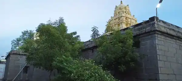 Arulmigu Thiruvareswarar Temple, Sadhurangapattinam - 603102 அருள்மிகு திருவரேஸ்வரர் சுவாமி திருக்கோயில், சதுரங்கப்பட்டினம் - 603102, Chengalpattu - Ancient Temple Architecture and History Image 5