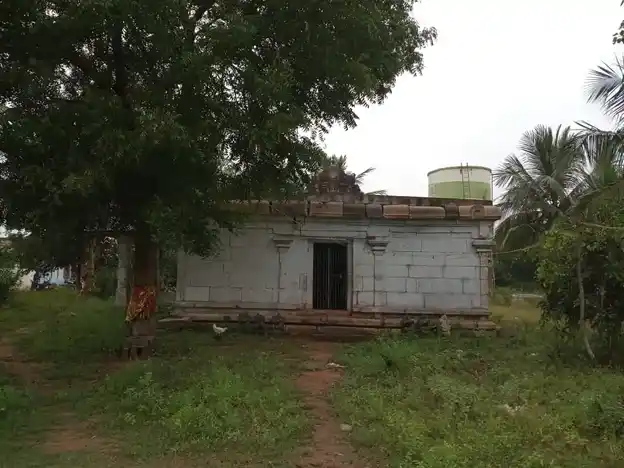 Arulmigu Thiruvathinamudayar Temple, Sempattur - 622507 அருள்மிகு திருவாதினமுடையார் திருக்கோயில், செம்பாட்டூர் - 622507, Pudukkottai - Ancient Temple Architecture and History Image 9