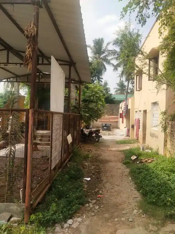 Arulmigu Thiruveethi Amman Temple, Anna Nagar, Chennai - 600040 அருள்மிகு திருவீதியம்மன் திருக்கோயில், அண்ணா நகர், சென்னை - 600040, Chennai - Ancient Temple Architecture and History Image 7