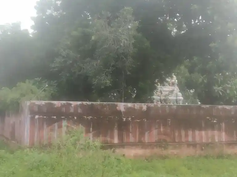 Arulmigu Thiruvengadanathasamy Temple, Elumalaii - 625535 அருள்மிகு திருவேங்கடநாதசாமி திருக்கோயில், Elumalaii - 625535, Madurai - Ancient Temple Architecture and History Image 6