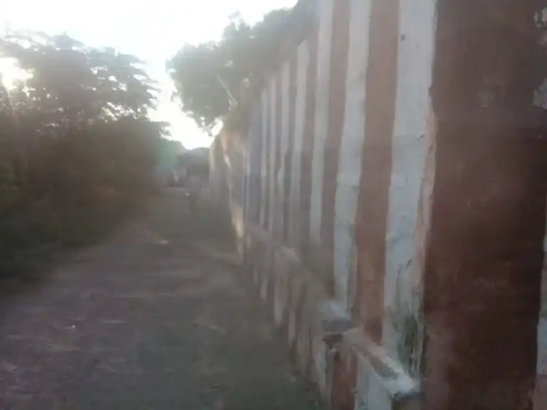 Arulmigu Thiruvenkadam Uriyar Temple, Alwarkarkulam - 628601 அருள்மிகு திருவேங்கடமுடையார் திருக்கோயில், ஆழ்வாா்கற்குளம் - 628601, Thoothukudi - Ancient Temple Architecture and History Image 2