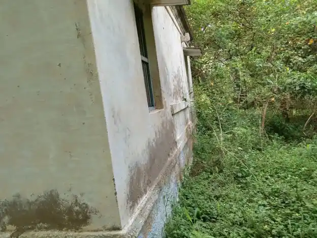 Arulmigu Thiruzhgana Sampathar Madam, Pallapuram, Pallapuram - 621703 அருள்மிகு திருஞானசம்மந்தர் மடம், Pallapuram, Pallapuram - 621703, Thiruchirappalli - Ancient Temple Architecture and History Image 4