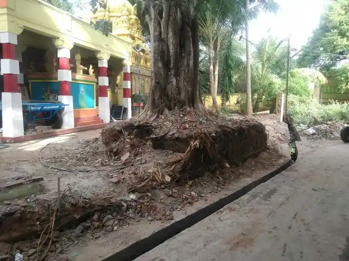 Arulmigu Thiya Vinotha Perumal Temple, Manamadurai - 630606 அருள்மிகு. தியாக வினோதப் பெருமாள் திருக்கோயில், Manamadurai - 630606, Sivagangai - Ancient Temple Architecture and History Image 2